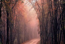 迈博体育:记者:新鹏城将披黄色球衣对海港,蓝色和对手紫色门将服冲突.