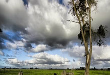 迈博体育:2024年中国百城桨板公开赛总决赛开赛.