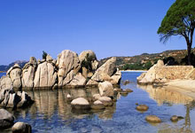 迈博体育:赖斯:少时的训练让我更全面;若鸟的球商在我见过的人排前三.